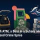 Illustration of a black bear in a car, a cash-spilling ATM, a shark fin and frozen seafood boxes
